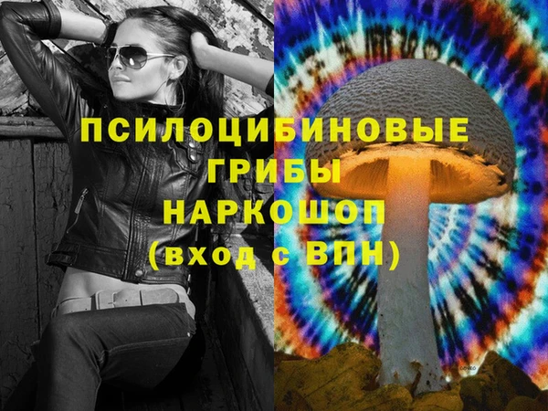 СК Верея