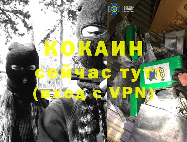 гидра Верхний Тагил