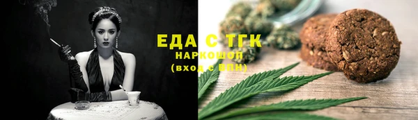 гидра Верхний Тагил