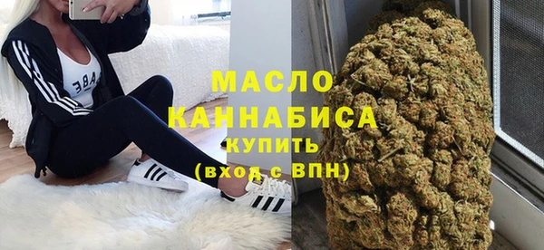 гидра Верхний Тагил