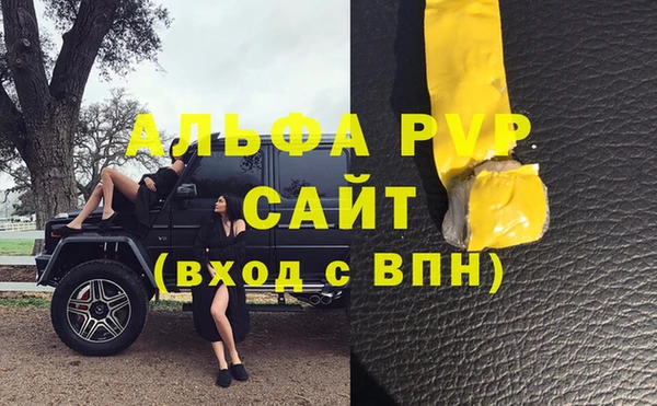 гидра Верхний Тагил