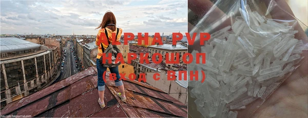 СК Верея