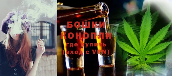 гидра Верхний Тагил