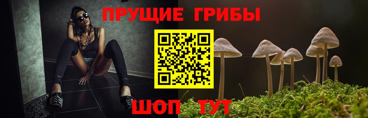 наркотики  Вход с VPN  Новомосковск  Галлюциногенные грибы GOLDEN TEACHER 